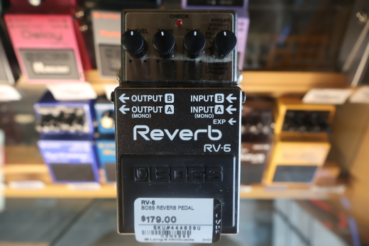 Store Special Product - RV-6 Reverb